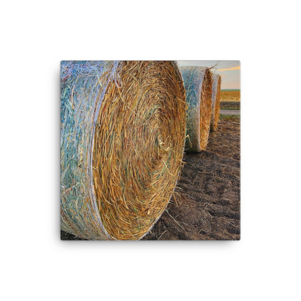 Caine Bales